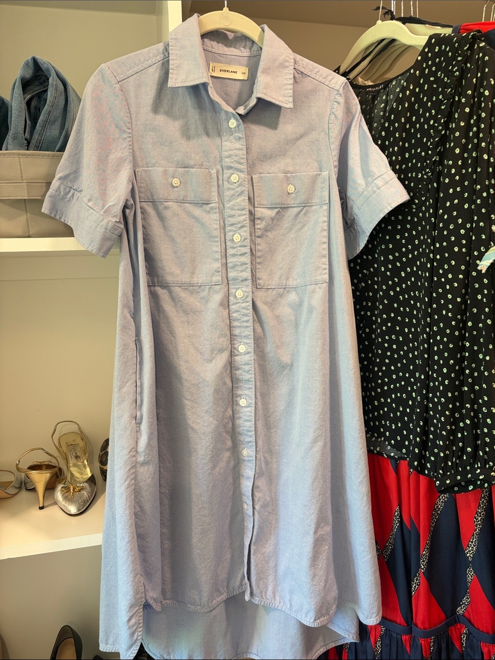 Everlane Daytripper Dress